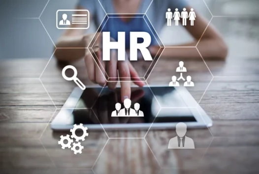 Understanding How HR Software Works
